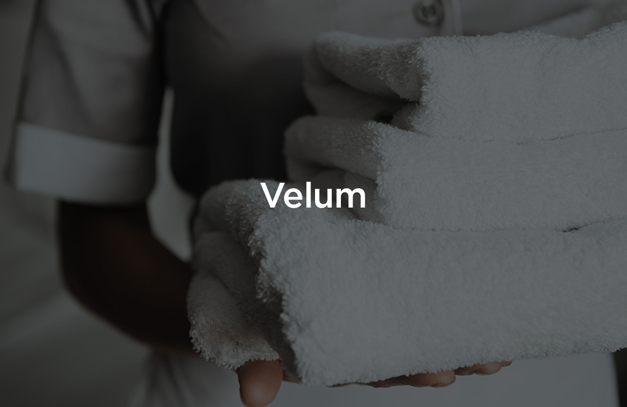 Velum